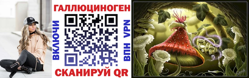 Галлюциногенные грибы Psilocybe  ОМГ ОМГ tor  Рассказово 